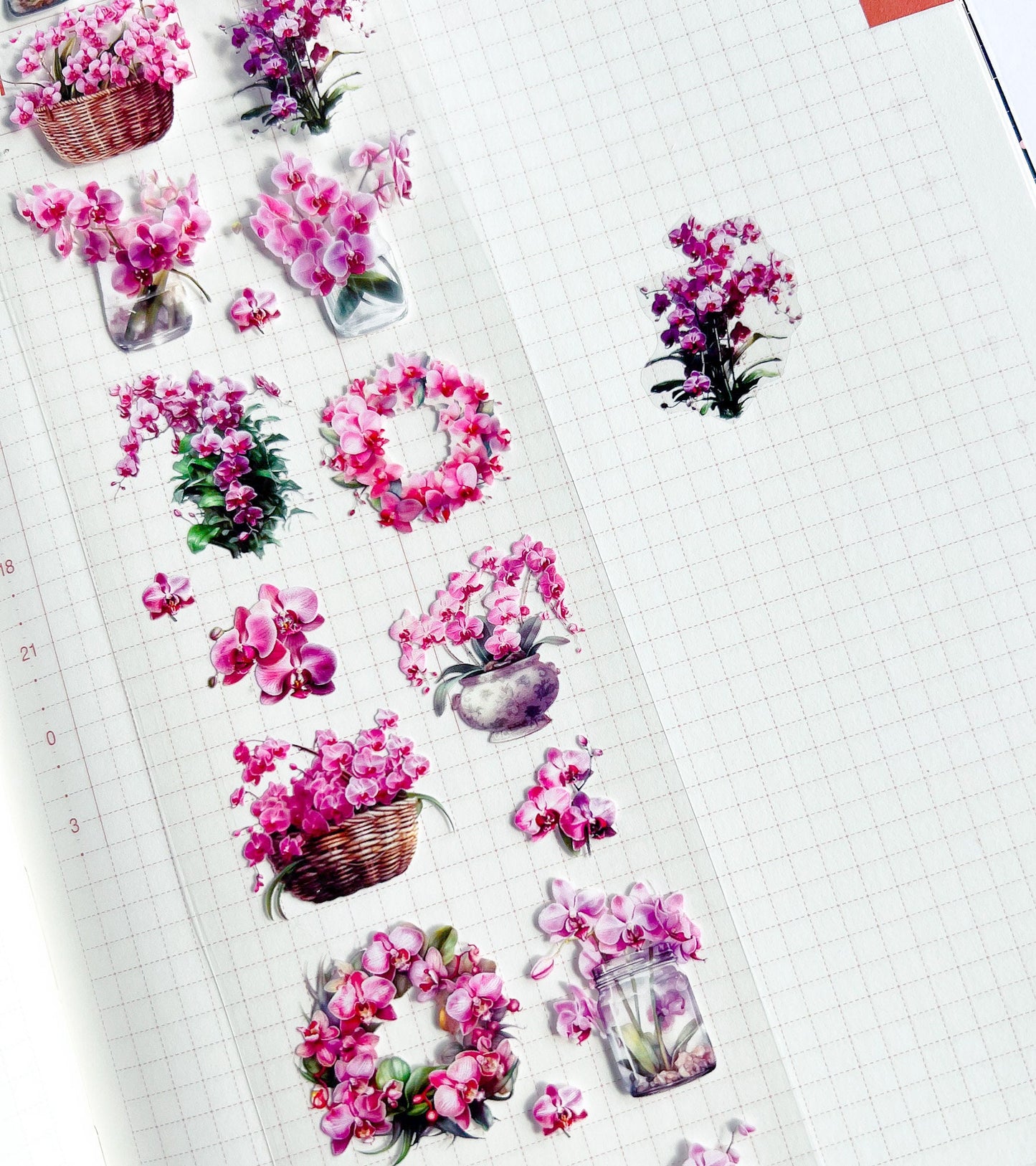 Pink Orchids PET Decorative Tape