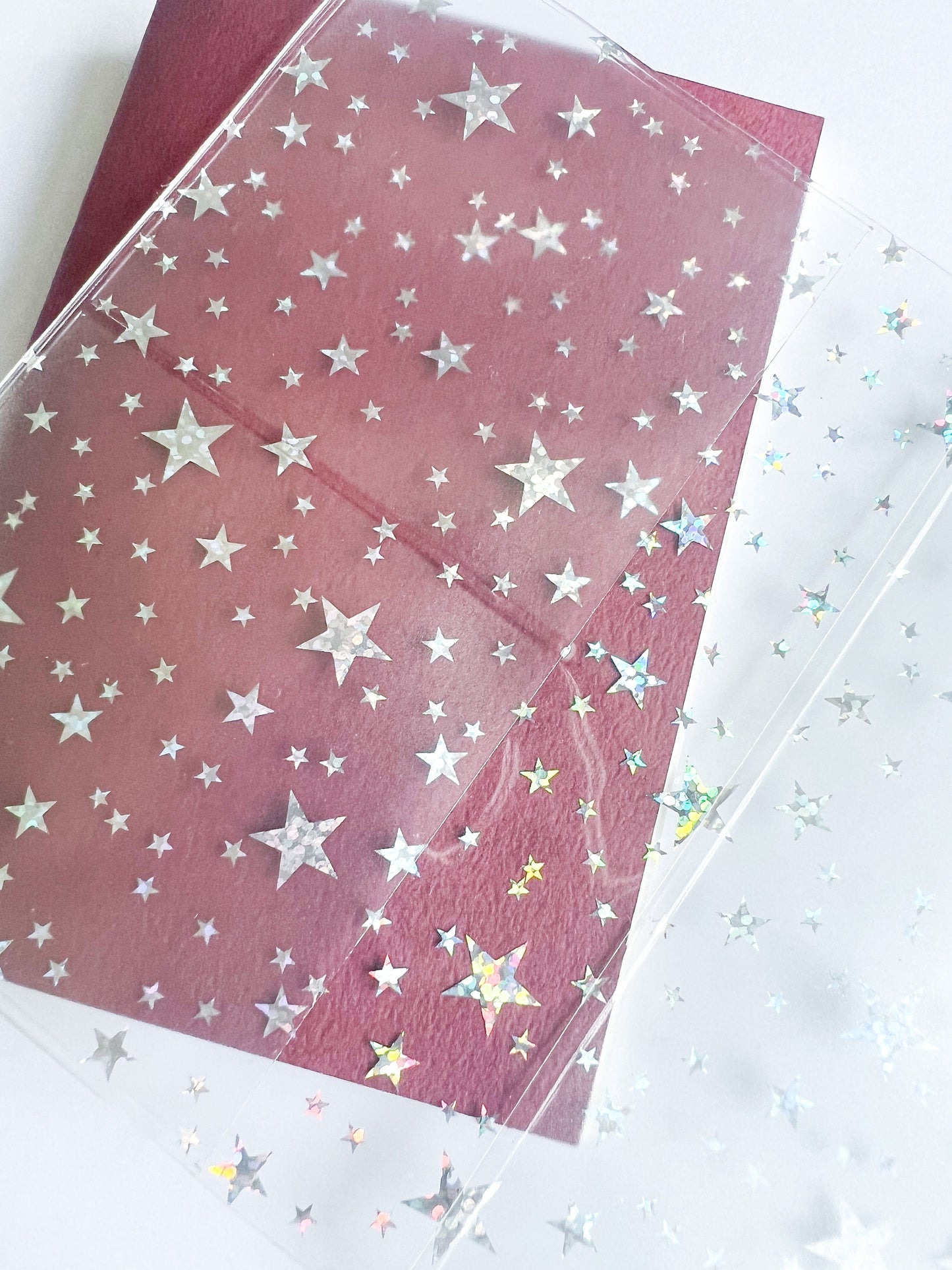 Traveler's Notebook Passport Clear Pouch Insert