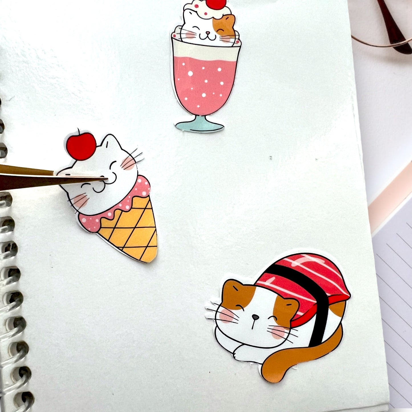 Ultimate Reusable Sticker Book for Creative Souls - 4x6 Inches of Artistic Sticker Collecting Bliss!